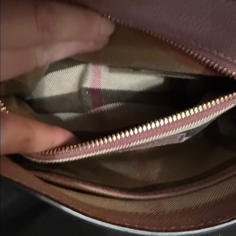 Burberry Dusty Pink Leather Crossbody Bag Gold Hardware - Picture 5 of 15